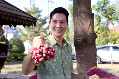 มอบหอมแดงปึ๋งและหอมแดงมัดจุกจากจังหวัดศรีสะเกษ ... พารามิเตอร์รูปภาพ 1