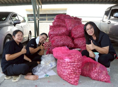 มอบหอมแดงปึ๋งและหอมแดงมัดจุกจากจังหวัดศรีสะเกษ ... พารามิเตอร์รูปภาพ 6