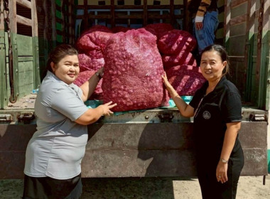 มอบหอมแดงปึ๋งและหอมแดงมัดจุกจากจังหวัดศรีสะเกษ ... พารามิเตอร์รูปภาพ 3