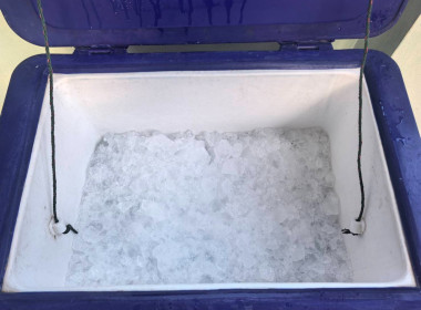 ดำเนินการตามแผนติดตามการดำเนินโครงการอาหารเสริม (นม) ... พารามิเตอร์รูปภาพ 9