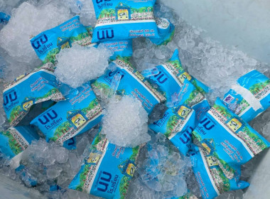 ดำเนินการตามแผนติดตามการดำเนินโครงการอาหารเสริม (นม) ... พารามิเตอร์รูปภาพ 15