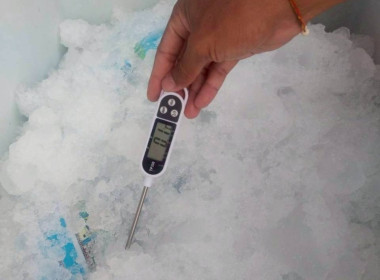 ดำเนินการตามแผนติดตามการดำเนินโครงการอาหารเสริม (นม) ... พารามิเตอร์รูปภาพ 16