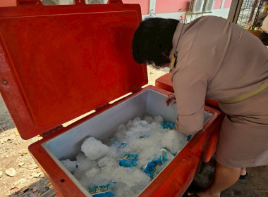 ดำเนินการตามแผนติดตามการดำเนินโครงการอาหารเสริม (นม) ... พารามิเตอร์รูปภาพ 14