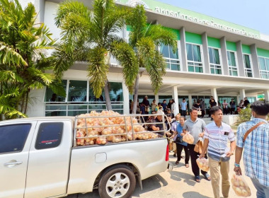 การประชุม ... พารามิเตอร์รูปภาพ 8