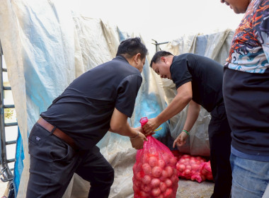 รับมอบหอมหัวใหญ่จากจังหวัดเชียงใหม่ ... พารามิเตอร์รูปภาพ 3