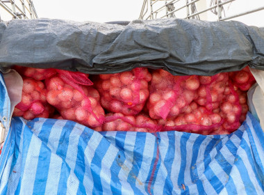 รับมอบหอมหัวใหญ่จากจังหวัดเชียงใหม่ ... พารามิเตอร์รูปภาพ 8