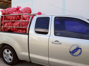 รับมอบหอมหัวใหญ่จากจังหวัดเชียงใหม่ ... พารามิเตอร์รูปภาพ 7