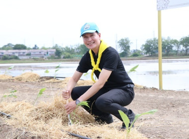 โครงการจิตอาสาพัฒนาด้านการเกษตร กระทรวงเกษตรและสหกรณ์ ... พารามิเตอร์รูปภาพ 4