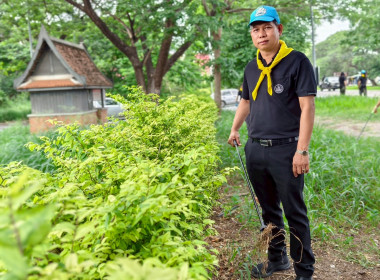 กิจกรรม “Big Cleaning Day อยุธยาเมืองสะอาด หน้าบ้านน่ามอง ... พารามิเตอร์รูปภาพ 7