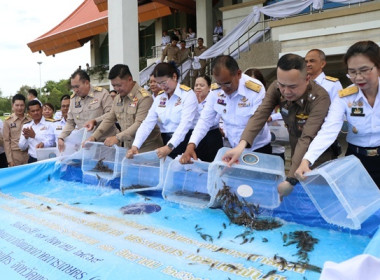 กิจกรรมพิธีปล่อยพันธุ์สัตว์น้ำ ... พารามิเตอร์รูปภาพ 3