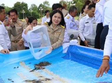 กิจกรรมพิธีปล่อยพันธุ์สัตว์น้ำ ... พารามิเตอร์รูปภาพ 5