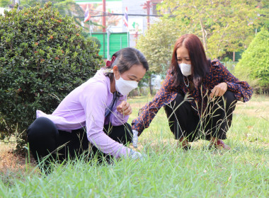 กิจกรรม 5ส. สำนักงานสหกรณ์จังหวัดพระนครศรีอยุธยา พารามิเตอร์รูปภาพ 10