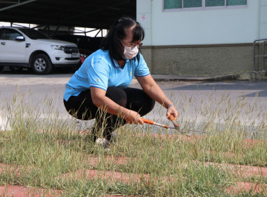 กิจกรรม 5ส. สำนักงานสหกรณ์จังหวัดพระนครศรีอยุธยา พารามิเตอร์รูปภาพ 18