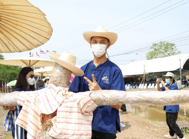 กิจกรรมปลูกข้าวในแปลงนาส่วนพระองค์ (ทุ่งมะขามหย่อง) ... พารามิเตอร์รูปภาพ 15