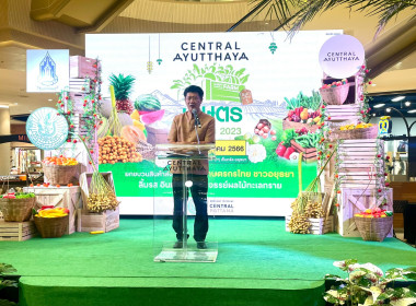 สหกรณ์จังหวัด ร่วมพิธีเปิดงาน &quot;เซ็นทรัล อยุธยาเกษตรฟาร์มสุข&quot; พารามิเตอร์รูปภาพ 1