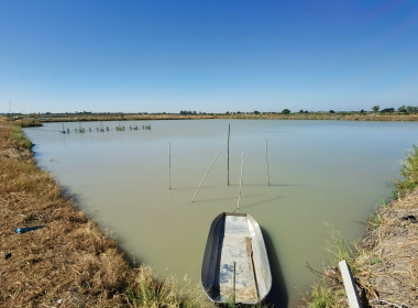 โครงการระบบส่งเสริมเกษตรแบบแปลงใหญ่ ปีงบประมาณ 2567 พารามิเตอร์รูปภาพ 12