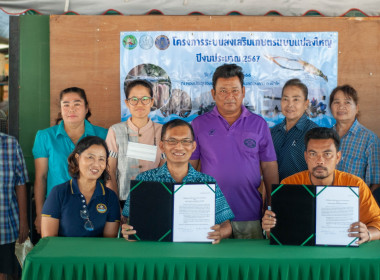 โครงการระบบส่งเสริมเกษตรแบบแปลงใหญ่ ปีงบประมาณ 2567 พารามิเตอร์รูปภาพ 2