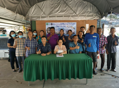 โครงการระบบส่งเสริมเกษตรแบบแปลงใหญ่ ปีงบประมาณ 2567 พารามิเตอร์รูปภาพ 6