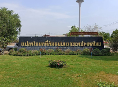 กิจกรรมปลูกต้นไม้เฉลิมพระเกียรติพระบาทสมเด็จพระเจ้าอยู่หัว ... พารามิเตอร์รูปภาพ 1