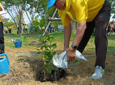 กิจกรรมปลูกต้นไม้เฉลิมพระเกียรติพระบาทสมเด็จพระเจ้าอยู่หัว ... พารามิเตอร์รูปภาพ 10