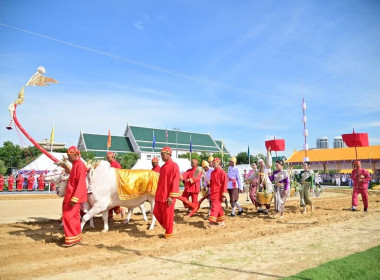 ร่วมพิธีพืชมงคลจรดพระนังคัลแรกนาขวัญ ปีพุทธศักราช 2568 พารามิเตอร์รูปภาพ 7