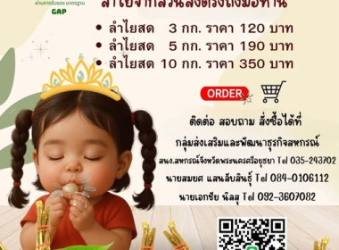 เชิญชวนทุกท่านสนับสนุนลำไย (สดช่อ) คุณภาพดี ... พารามิเตอร์รูปภาพ 1