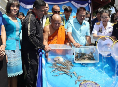 ร่วมกิจกรรมปล่อยพันธุ์สัตว์น้ำเนื่องในวันประมงแห่งชาติ ... พารามิเตอร์รูปภาพ 5