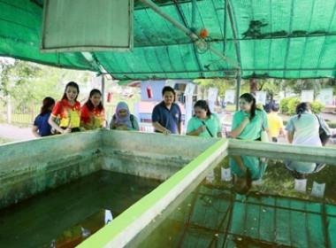 กจส. นำคณะครูศึกษาดูงาน ณ โรงเรียนวัดทุ่งคอก (สุวรรณสาธุกิจ) พารามิเตอร์รูปภาพ 26